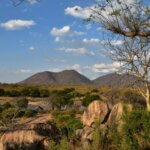 Ruaha Safaris – Explore the Wild Beauty of Ruaha National Park