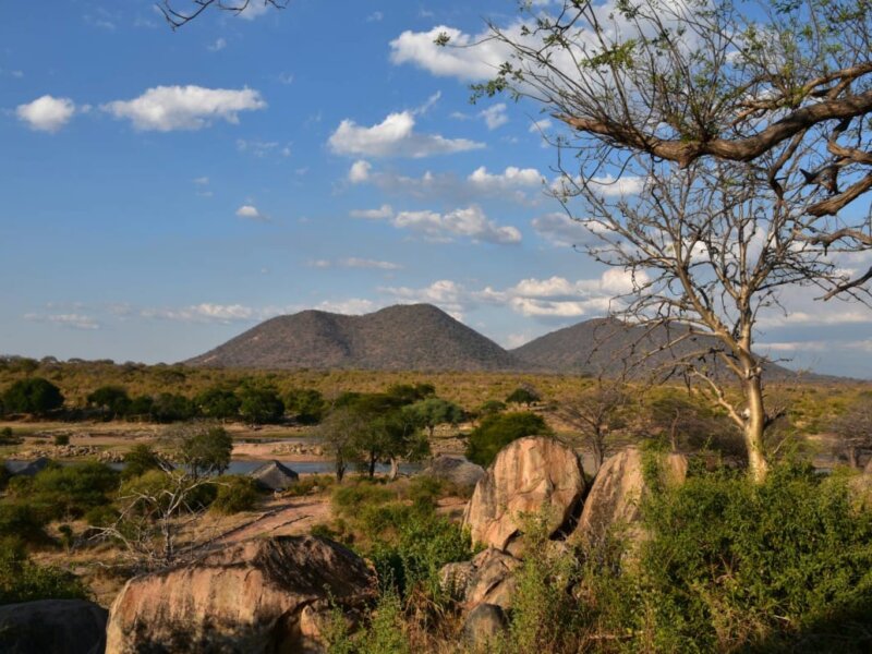 Ruaha Safaris – Explore the Wild Beauty of Ruaha National Park