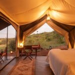 Safari Nairobi Quick Trips