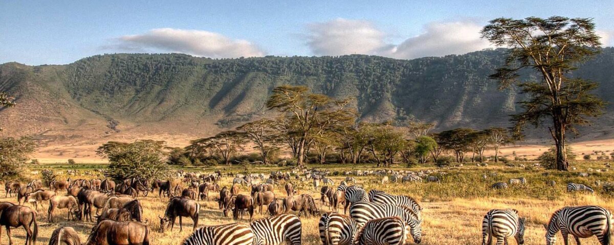 Tanzania Safari Short Tours