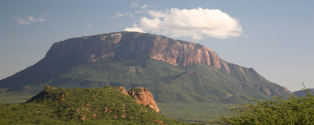 Samburu National Reserve Safari