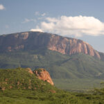 Samburu National Reserve Safari
