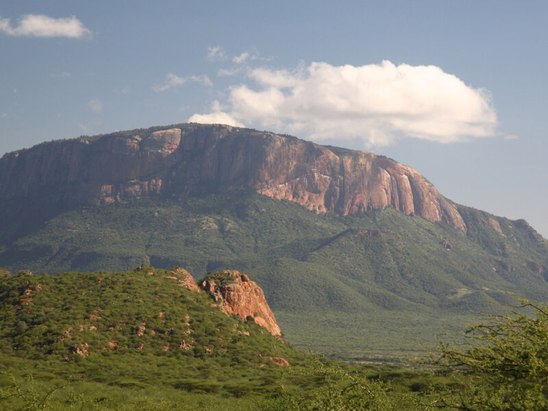 Samburu National Reserve Safari