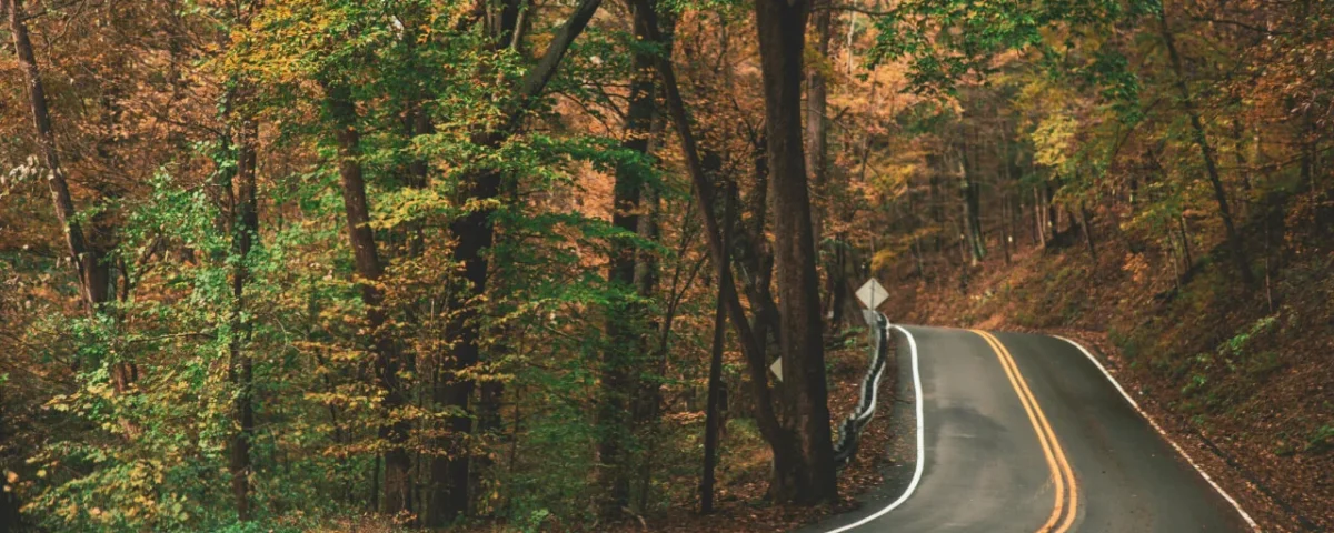 Scenic Drives in Kenya