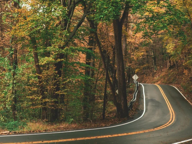 Scenic Drives in Kenya