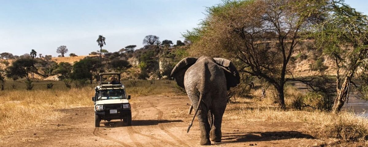 Tanzania Self-Drive Safari Tours
