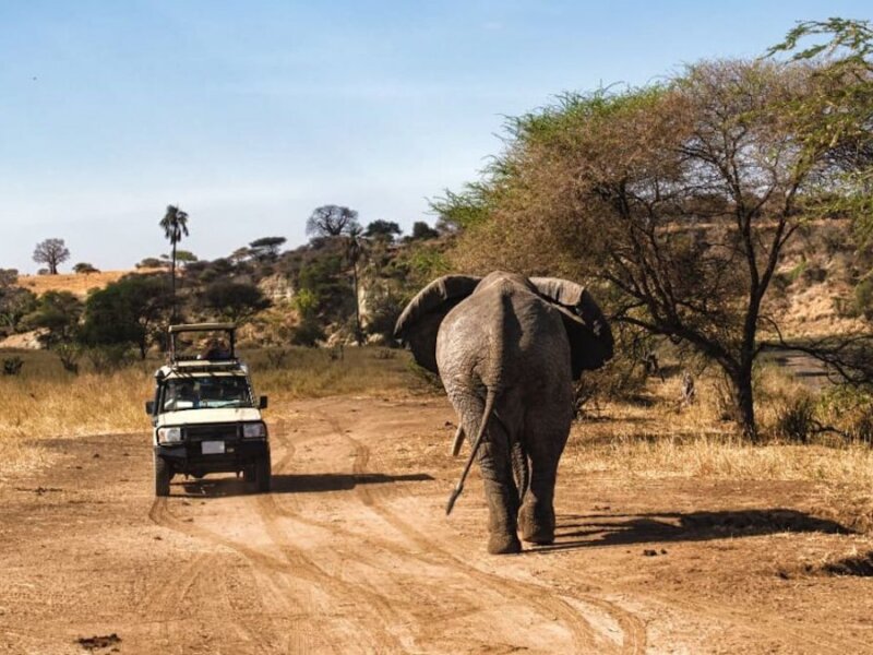 Tanzania Self-Drive Safari Tours