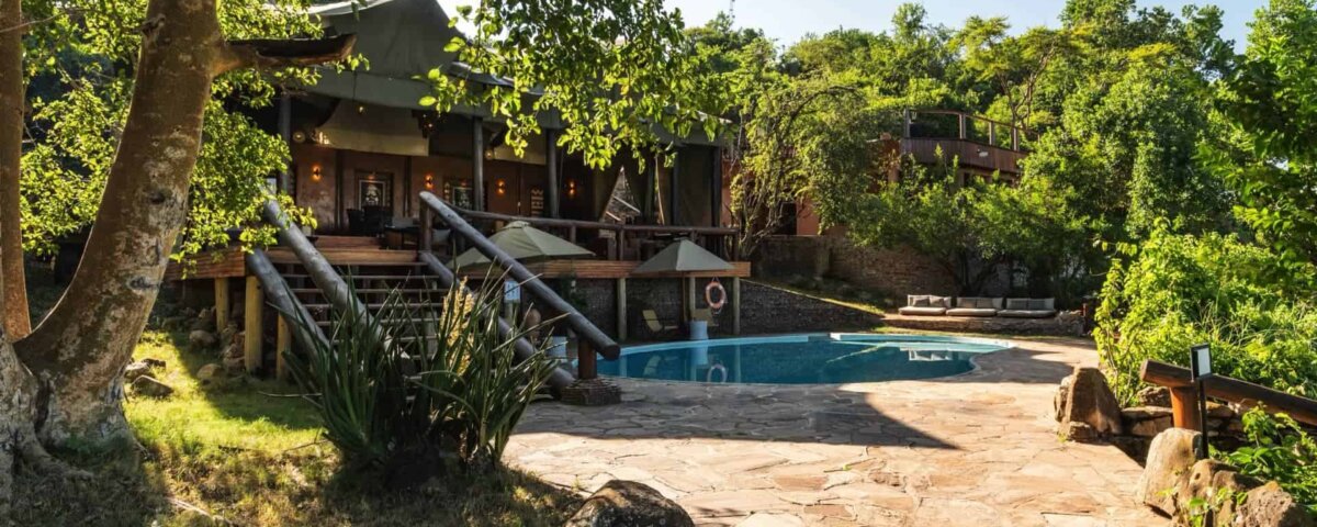 Tanzania Lodge Safaris: Experience Comfort and Wildlife in Perfect Harmony