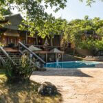 Tanzania Lodge Safaris: Experience Comfort and Wildlife in Perfect Harmony