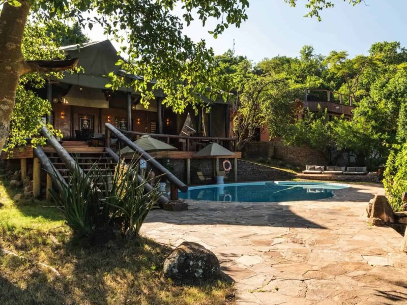 Tanzania Lodge Safaris: Experience Comfort and Wildlife in Perfect Harmony