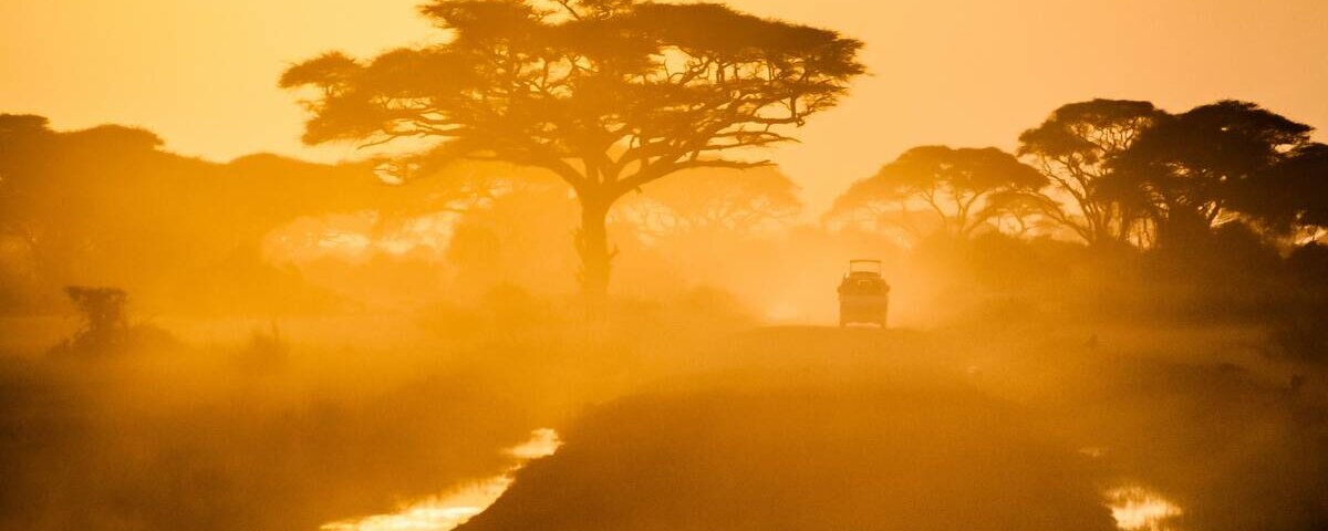Solo Kenya Safaris Guide