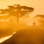 Solo Kenya Safaris Guide