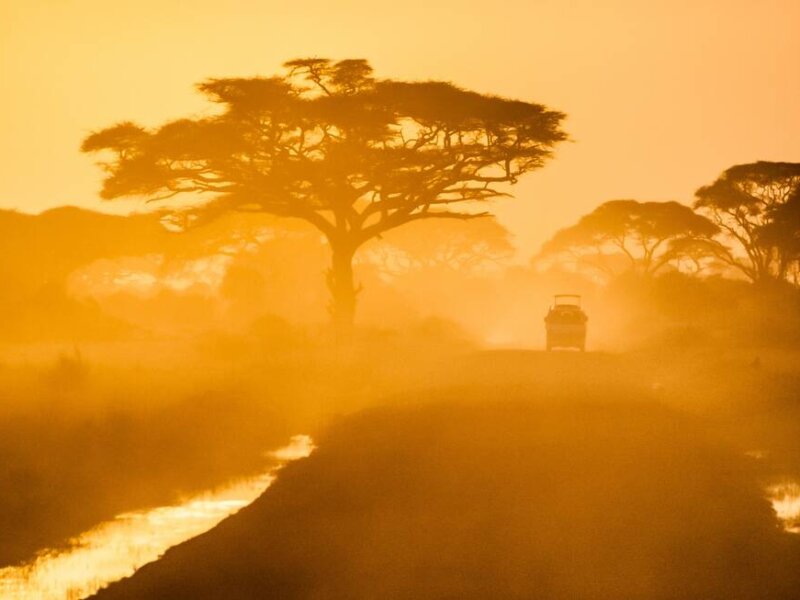 Solo Kenya Safaris Guide