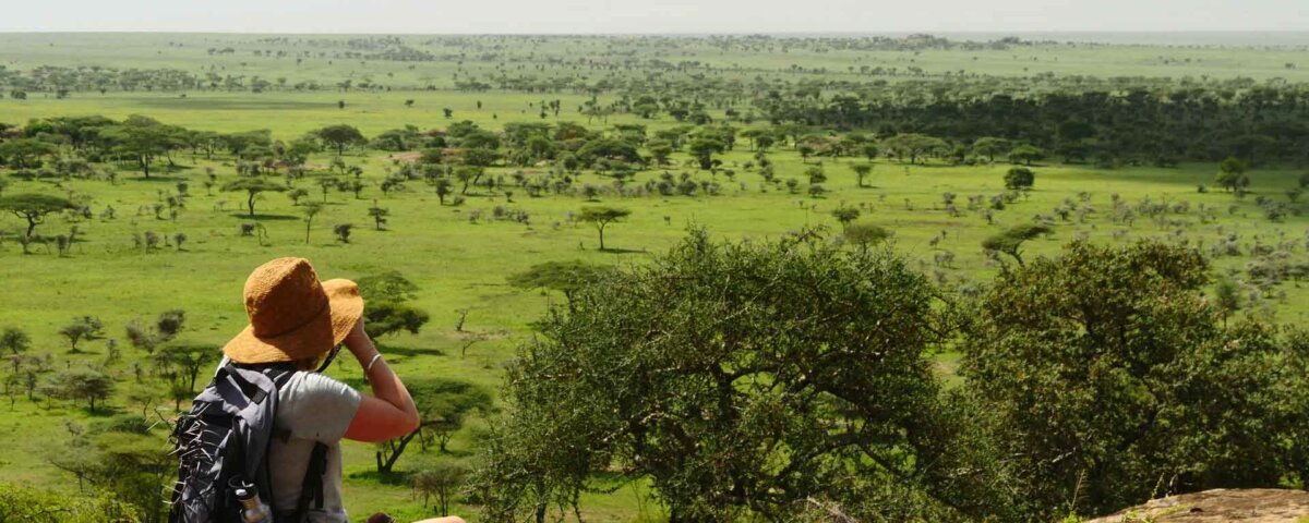 Eco-Friendly Tanzania Safaris: Sustainable Travel with Purpose