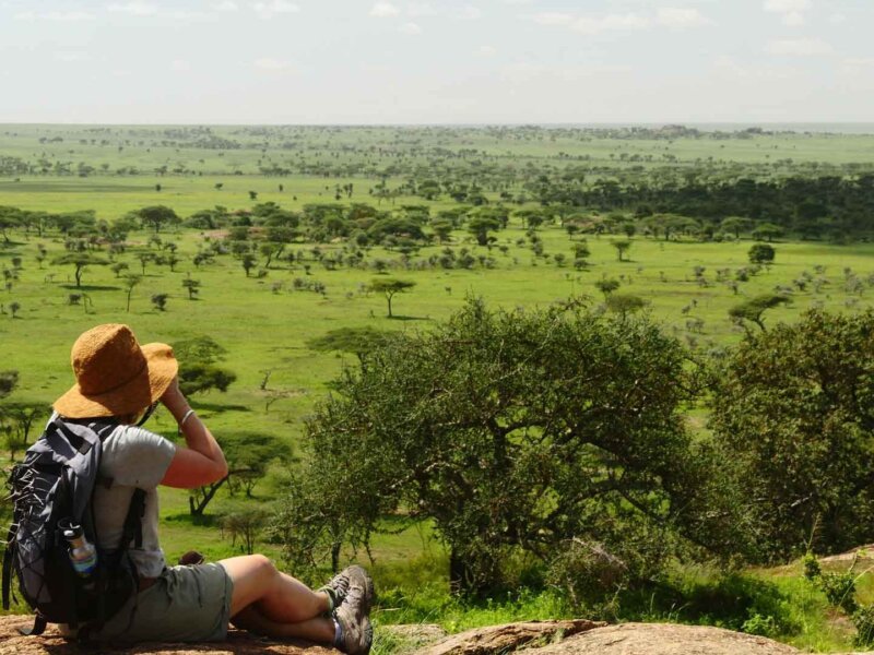 Eco-Friendly Tanzania Safaris: Sustainable Travel with Purpose