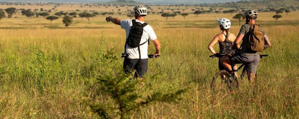 Tanzania Safari for Friends Groups