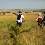 Tanzania Safari for Friends Groups