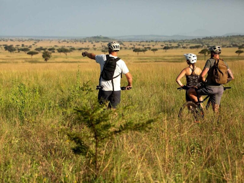 Tanzania Safari for Friends Groups