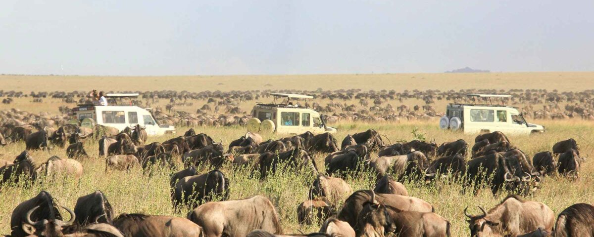 Tanzania Safari Travel Planning Guide