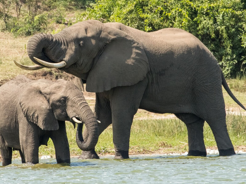 18 Days Tanzania Safari Tours