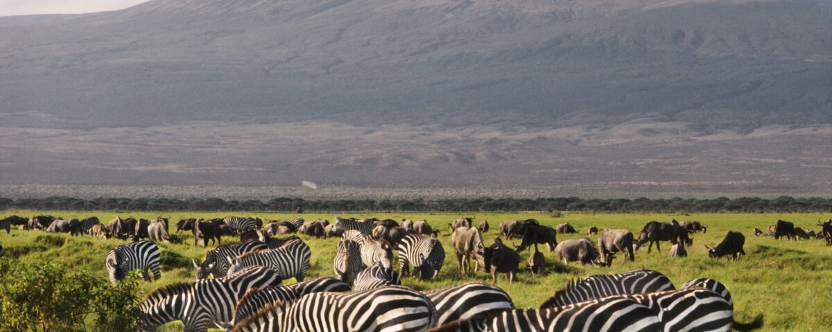 Walking Safaris in Kenya