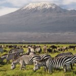 Walking Safaris in Kenya
