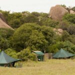 Off the Beaten Path Tanzania Safaris