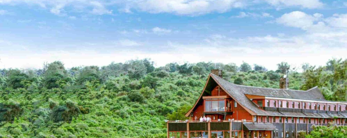 What Are the Best Budget Kenya Safaris?
