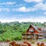 What Are the Best Budget Kenya Safaris?