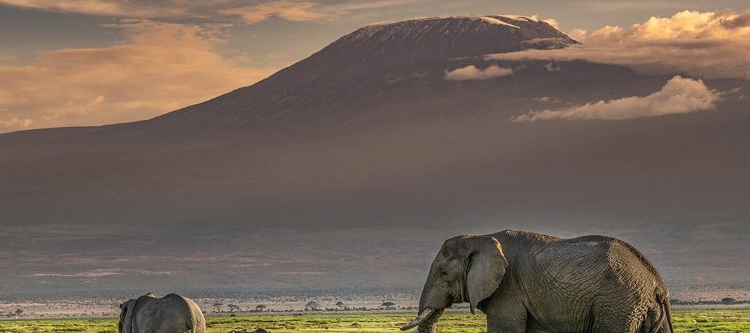 What Are the Best Eco-Friendly Safari Lodges in Kenya?
