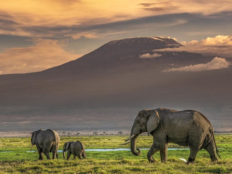 What Are the Best Eco-Friendly Safari Lodges in Kenya?