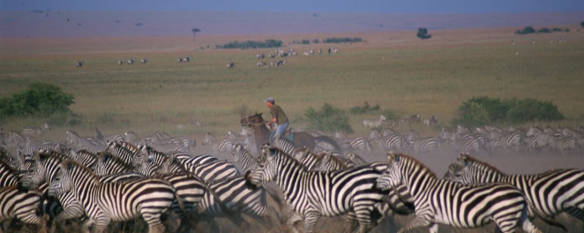 What Are the Best Kenya Safari Activities for Children?