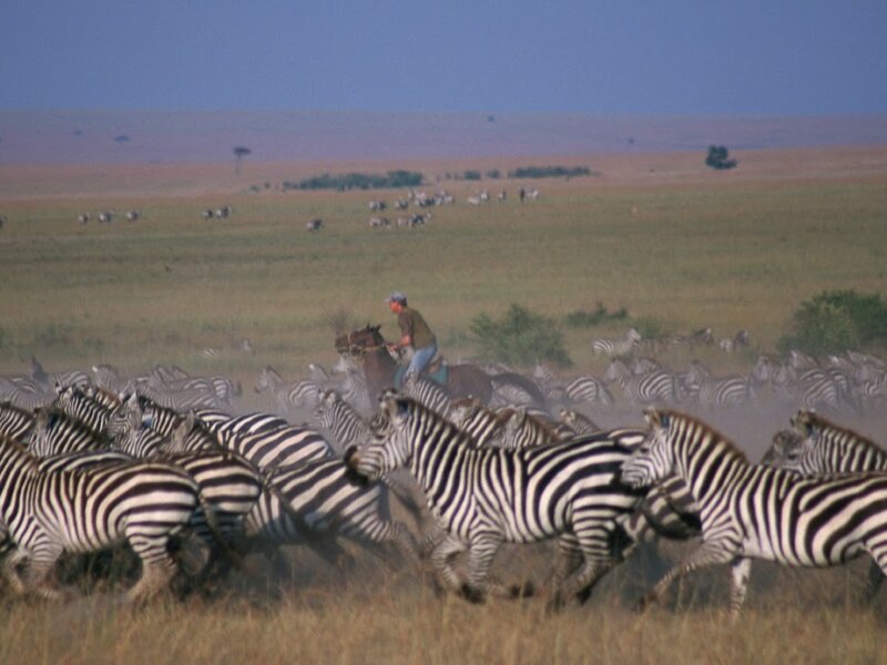 What Are the Best Kenya Safari Activities for Children?