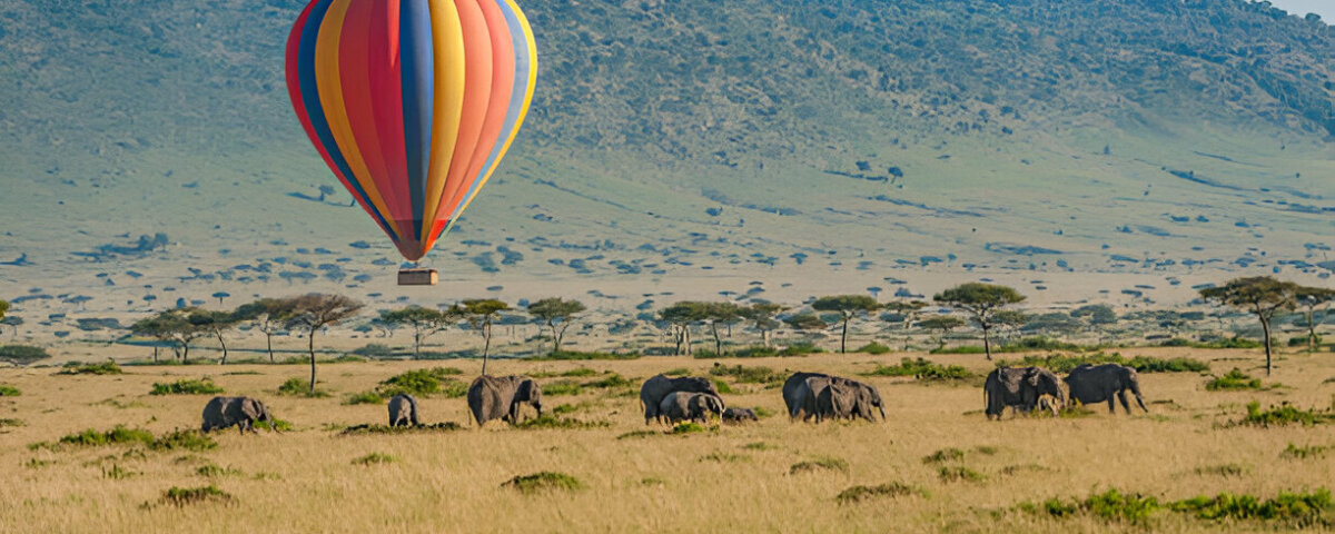 What Are the Best Kenya Safari Adventures for Photographers?