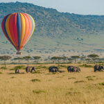 What Are the Best Kenya Safari Adventures for Photographers?