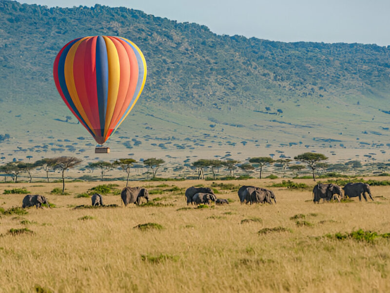 What Are the Best Kenya Safari Adventures for Photographers?