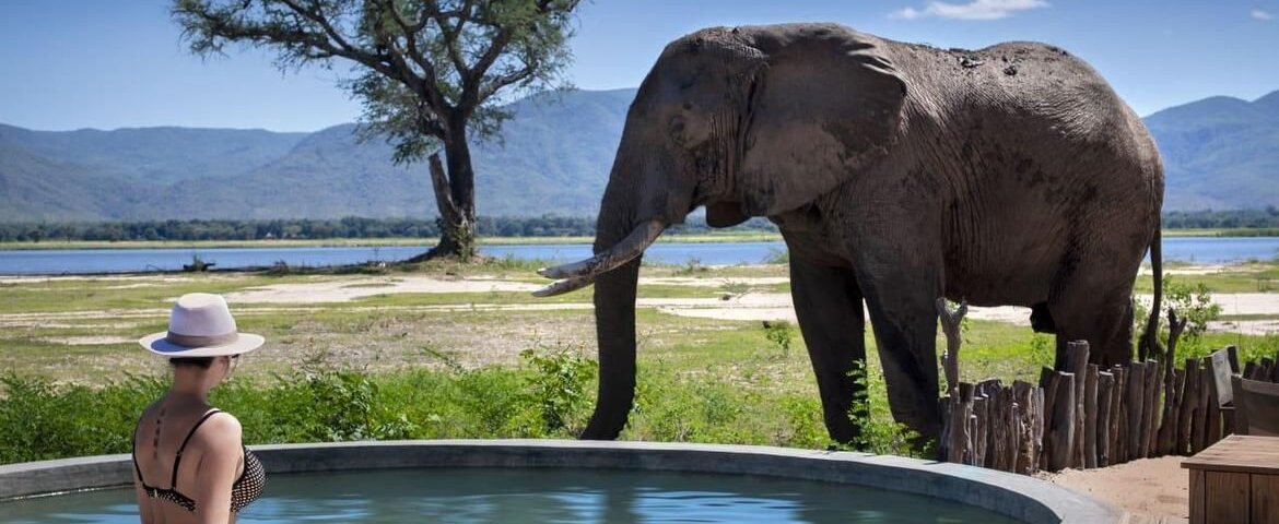 What Are the Best Kenya Safari Experiences for Couples?