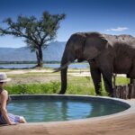 What Are the Best Kenya Safari Experiences for Couples?