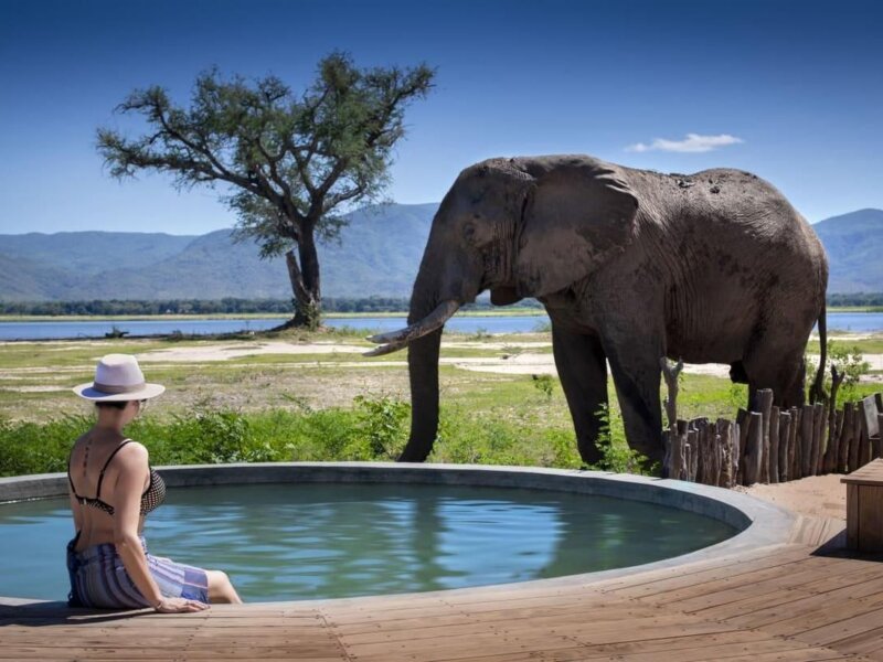 What Are the Best Kenya Safari Experiences for Couples?