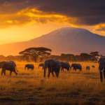 What Are the Best Kenya Safari Experiences in September?