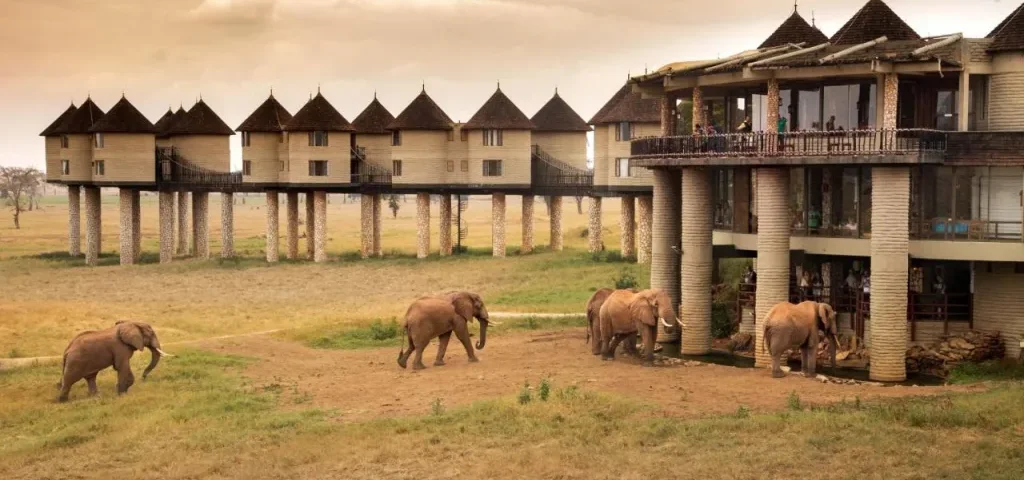 What Are the Best Kenya Safari Lodges Near Wildlife Hotspots?