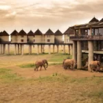 What Are the Best Kenya Safari Lodges Near Wildlife Hotspots?
