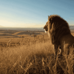 What Are the Best Kenya Safari Packages 2026?