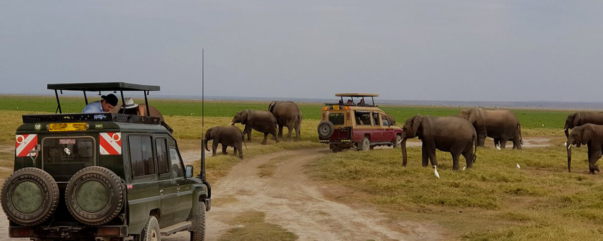 What Are the Best Kenya Safari Parks for Game Viewing?