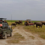What Are the Best Kenya Safari Parks for Game Viewing?
