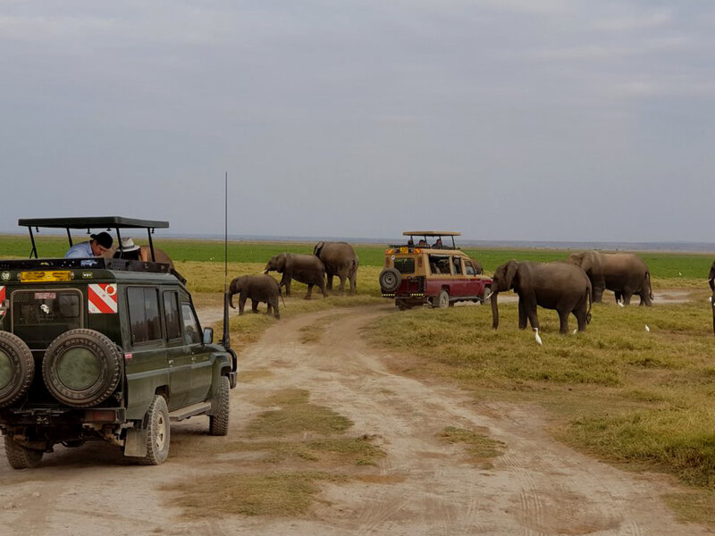 What Are the Best Kenya Safari Parks for Game Viewing?