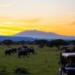 What Are the Best Kenya Safari Parks for Migration Safaris?