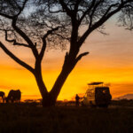 What Are the Best Kenya Safari Parks for Photography?
