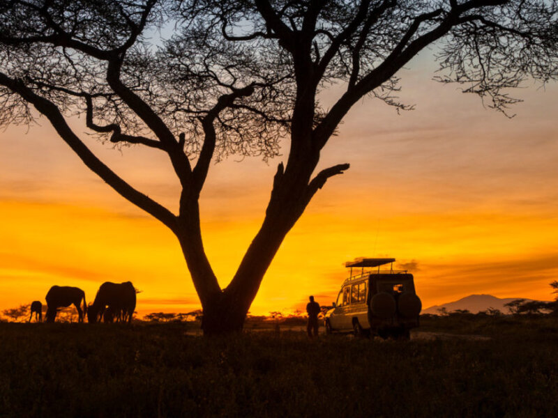 What Are the Best Kenya Safari Parks for Photography?