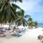 What Are the Best Kenya Safari Tours With Beach Extensions?